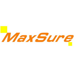 MAXSURE logo