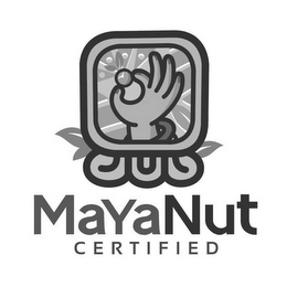 MAYA NUT CERTIFIED logo