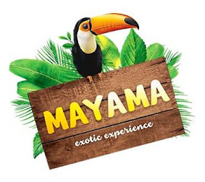 MAYAMA EXOTIC EXPERIENCE logo