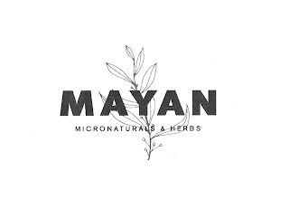 MAYAN MICRONATURALS & HERBS logo