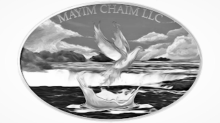 MAYIM CHAIM LLC logo