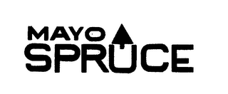 MAYO SPRUCE logo