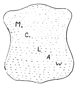 M.C. LAW logo