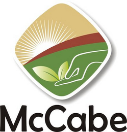MCCABE logo