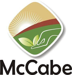 MCCABE logo