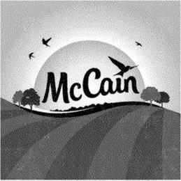 MCCAIN logo