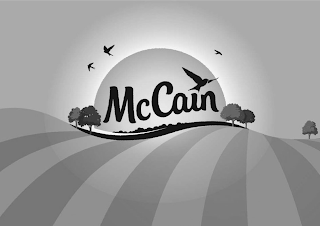 MCCAIN logo