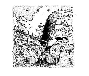 MCCI USB DATAPUMP logo