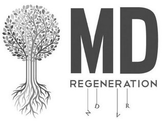 MD REGENERATION N D V R logo