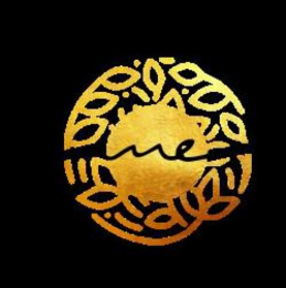 ME logo