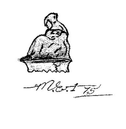 M.E.1 75 logo