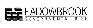 MEADOWBROOK GOVERNMENTAL RISK