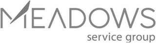 MEADOWS SERVICE GROUP logo