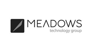 MEADOWS TECHNOLOGY GROUP logo
