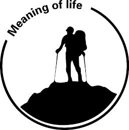 MEANING OF LIFE logo