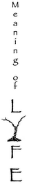 MEANING OF LYFE logo