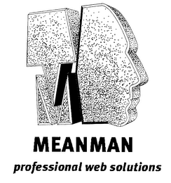 MEANMAN.COM PROFESSIONAL WEB SOLUTIONS logo