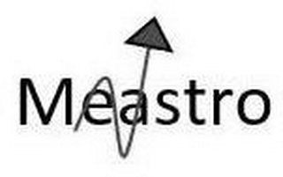 MEASTRO logo