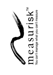MEASURISK logo