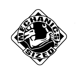 MECHANICS SIZED logo