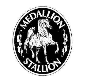 MEDALLION STALLION logo