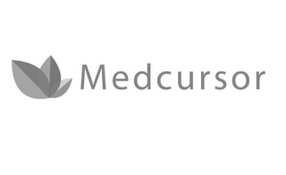 MEDCURSOR logo