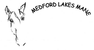 MEDFORD LAKES MANE