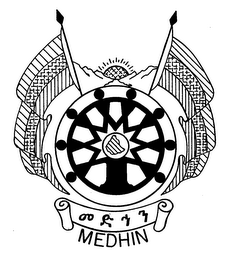 MEDHIN logo