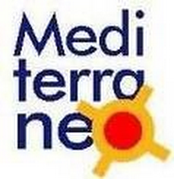 MEDI TERRA NE logo