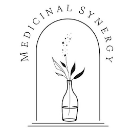 MEDICINAL SYNERGY logo