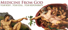 MEDICINE FROM GOD YOUR BODY...YOUR SOUL...YOUR RESPONSIBILITY. logo