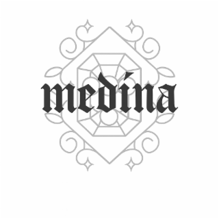 MEDINA logo
