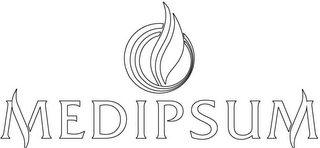 MEDIPSUM logo