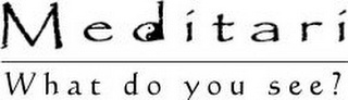 MEDITARI WHAT DO YOU SEE? logo