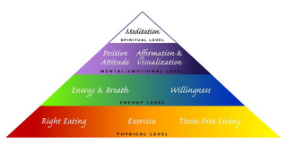 MEDITATION SPIRITUAL LEVEL POSITIVE ATTITUDE AFFIRMATION & VISUALIZATION MENTAL/EMOTIONAL LEVEL ENERGY & BREATH WILLINGNESS ENERGY LEVEL RIGHT EATING EXERCISE TOXIN-FREE LIVING PHYSICAL LEVEL logo