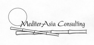 MEDITERASIA CONSULTING logo