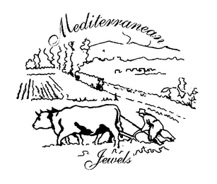 MEDITERRANEAN JEWELS logo