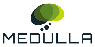 MEDULLA logo