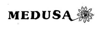 MEDUSA logo