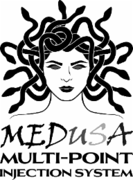 MEDUSA MULTI-POINT INJECTION SYSTEM