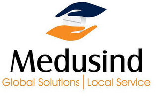 MEDUSIND GLOBAL SOLUTIONS LOCAL SERVICE logo