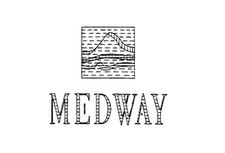 MEDWAY logo