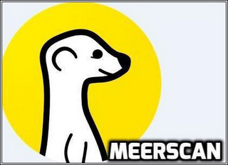 MEERSCAN logo
