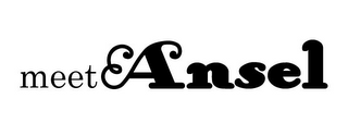 MEET ANSEL logo