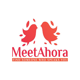 MEETAHORA FIND SOMEONE WHO SPEAKS YOU logo