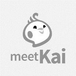MEETKAI logo
