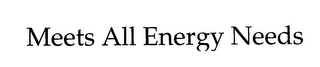 MEETS ALL ENERGY NEEDS logo