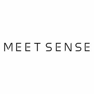 MEETSENSE logo