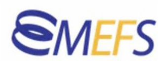 MEFS logo