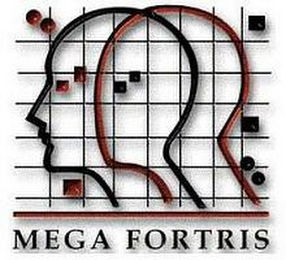 MEGA FORTRIS